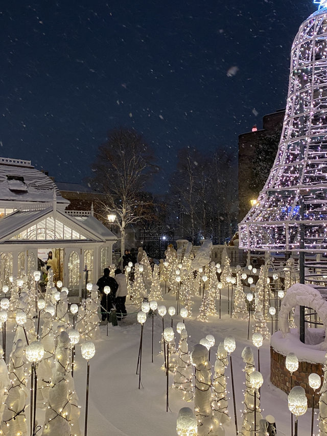 【北海道｜札幌近郊冬季限定】湯咖哩暖胃→雪中頭大佛＋復活島摩艾→白之戀人公園夜燈全亮，完美一天