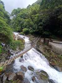 草山觀瀑吊橋：身臨瀑布的療癒秘境