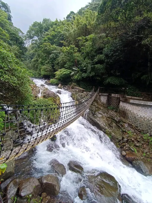 草山觀瀑吊橋：身臨瀑布的療癒秘境
