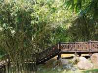 Steps Through Serenity: Putrajaya’s Bamboo-Lined Stairs