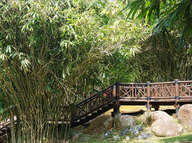 Steps Through Serenity: Putrajaya’s Bamboo-Lined Stairs