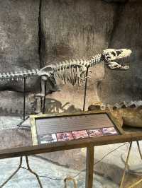 Xian, with its breathtaking beauty and serene surroundings, truly touches everyone’s hearts