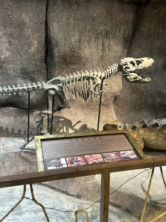 Xian, with its breathtaking beauty and serene surroundings, truly touches everyone’s hearts