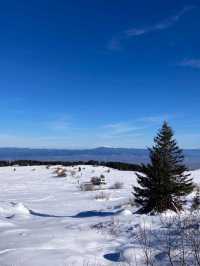 Vitosha Mountain: Skiing with a City View