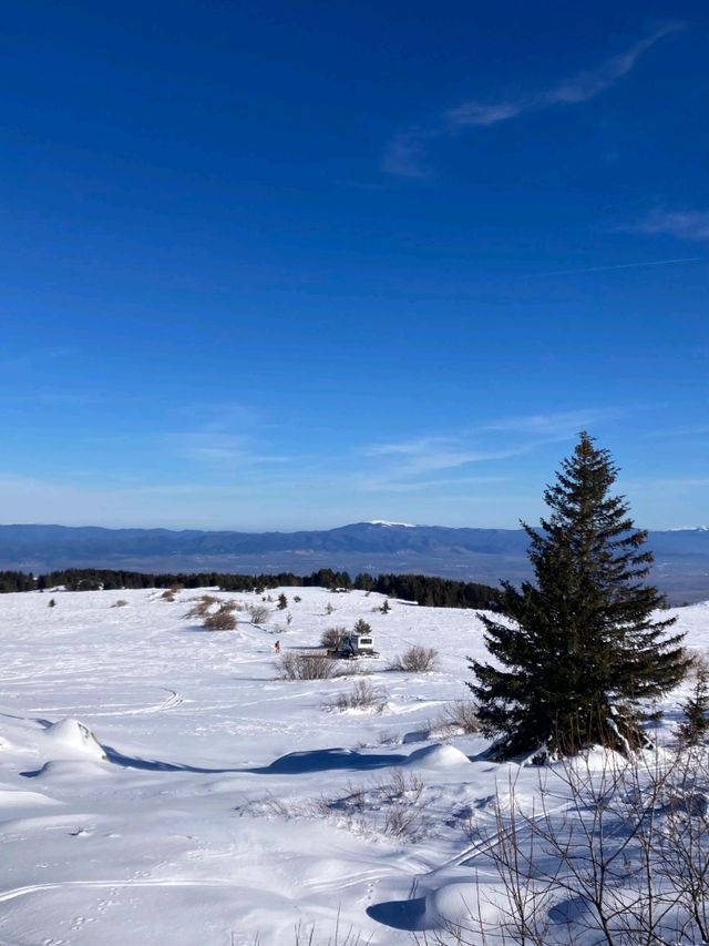 Vitosha Mountain: Skiing with a City View Vitosha Mountain: Skiing with a City View