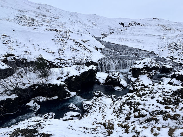 🌈🔥 SKÓGAFOSS — WHERE POWER MEETS PURE ICELAND MAGIC 🔥🌈