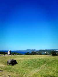 A Festive Morning at Eluanbi Lighthouse