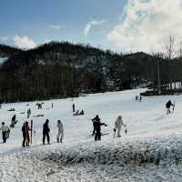 Sapporo Ski Dream❄️