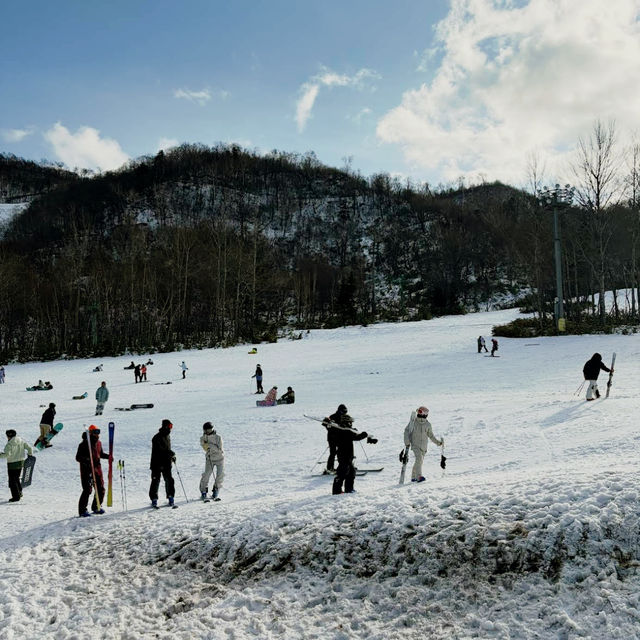 Sapporo Ski Dream❄️