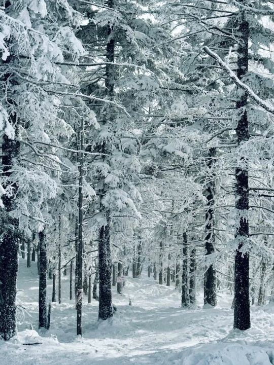 Ski Trip: Beidahu, Jilin