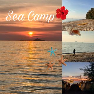  พักใจริมทะเล…ที่ Sea Camp 🏝️🥥🌺🏕️