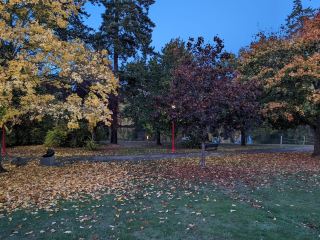 If you’re looking for a different start in October, Cowichan Valley F is a breathtaking option. This time I chose Cowichan River Provincial Park to easily experience the charm of the authentic natural river valley in Vancouver Island. The Cowichan River is quiet yet vibrant, and walking through it gives you an instant sense of the beautiful atmosphere of Canadian autumn – blessed with a bit of early morning mist and a more fairy-like air.

🌲 Trip highlights inventory
Cowichan River Provincial Park, as a popular local outdoor route, has basic coverage whether you like to take a slow walk to enjoy the scenery, fish, or find a quiet place to meditate. The scenery by the river changes with the seasons. In early October, the leaves gradually turn yellow, and the sound of gurgling water inexplicably heals the mind.

📍Cowichan River Provincial Park
Address: Lake Cowichan, BC V0R 2G0 Canada
Opening hours: Open all day, year-round

🛶 Recommended gameplay
1. Riverside Walk: The Park has several trails, some of which can be walked to the water's edge.  
2. Picnic break: The park has a picnic table and lounge area where you can bring your own light meals and enjoy nature while eating (recommended in the morning, there is often a cool fog, especially artistic).
3. Bird Watching and Fishing: Cowichan River is rich in fish and is one of the most famous fishing spots throughout Canada. Those who enjoy bird watching can also enjoy the wood-dwelling birds in the quiet.
4. Small advice: The river is cooler in early October, remember to bring enough jacket or waterproof equipment; some areas are looser mud, it is recommended to wear comfortable, non-slip shoes to walk; less people in the morning, easier to enjoy the quiet atmosphere.

✨ The journey is truly enlightening
Walking by the river on the morning of October 1st, quiet and a little misty, the whole person seems to refresh. The Cowichan River has changed from the previous impression of Canadian rivers as spectacular—it is more delicate, with flowing water permeating every area and intertwining with withered yellow leaves, a kind of poetic meaning. This is perfect for starting a new month (the mood of the new season reset), even if you don't arrange a long hike, a simple walk around feels worth it.

🚙 Practical transportation strategy
If you are driving from Victoria or Nanaimo, turn along Highway 1 towards Lake Cowichan and arrive in about 1 to 1.5 hours. The park is quite large and can be found along the road