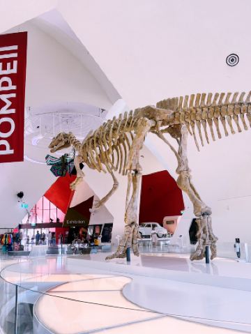 Путешествие в столицу Австралии (Часть 1): Канберра для любителей искусства.