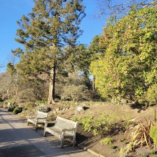 The Birmingham Botanical Gardens