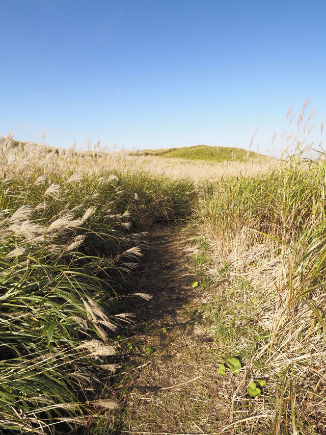 大自然満喫!春から秋にオススメの阿蘇の絶景スポット