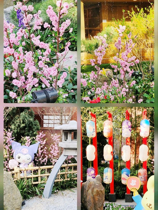 Diverse Plant Collection