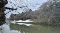 日本國寶 彥根城