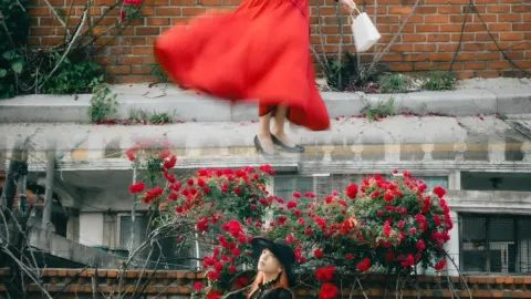 장미의 계절! 수원화성!. — traveler post in 수원
