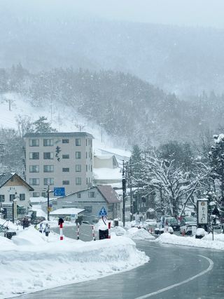 Zao Snow Monsters: A Once-in-a-Lifetime Must-Visit Destination.