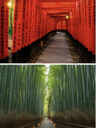 夢のような京都3日間：寺院、竹林、日本酒巡り 。