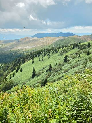 [Shibu Pass, Gunma] A truly breathtaking road in the sky ✨