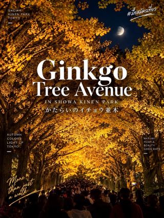 อุโมงค์สีทองที่สวยเหมือนหลุดออกมาจากหนังญี่ปุ่น