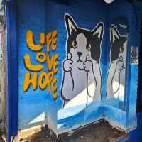 Explore old Korea for Cheap