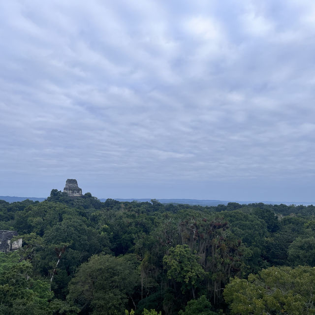 A memorable Mayan civilization and jungle experience at Tikal @ Guatemala 