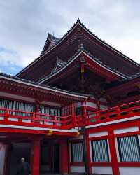 Magnificent site in center of Nagoya