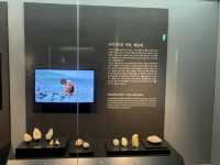 Busan Museum; a must-see