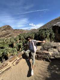 come and see the desert oasis！！