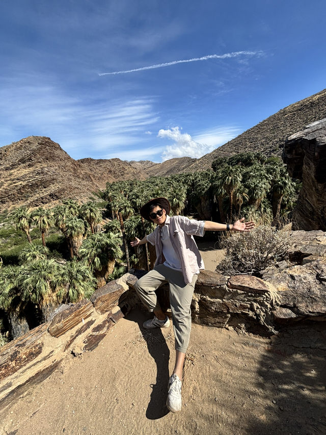 come and see the desert oasis！！
