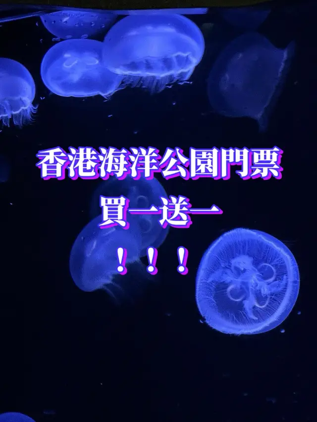 🐟人生建議：一定要去一次香港海洋公園！ 