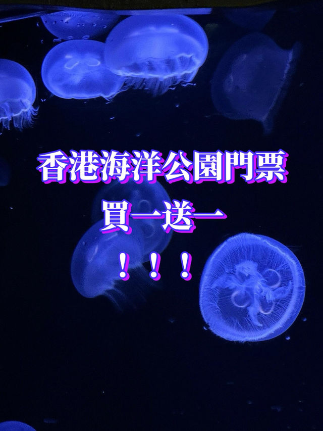 🐟人生建議：一定要去一次香港海洋公園！ 