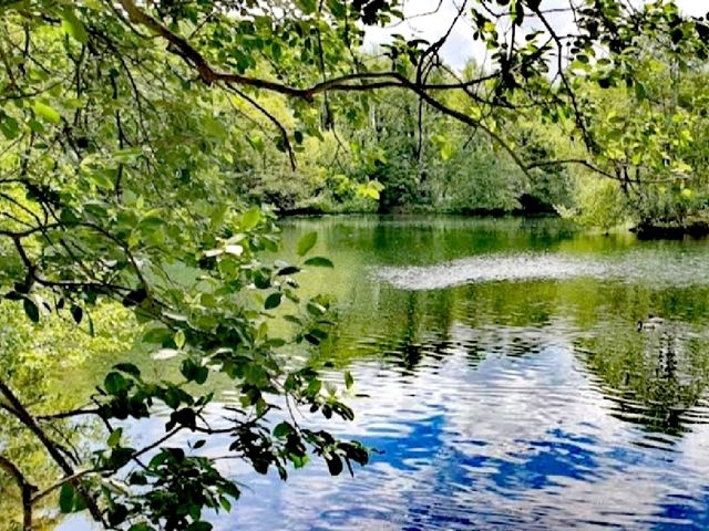 Hill Hook Nature Reserve