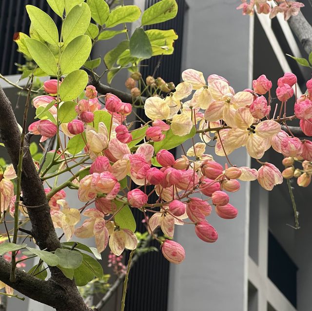  Divalux Resort and Spa Bangkok
