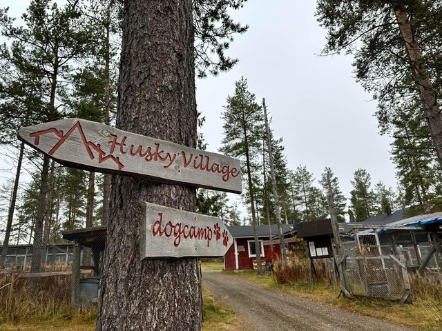 芬蘭🇫🇮景點-Äkäskero哈士奇莊園