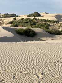 Turkey: the longest beach Patara