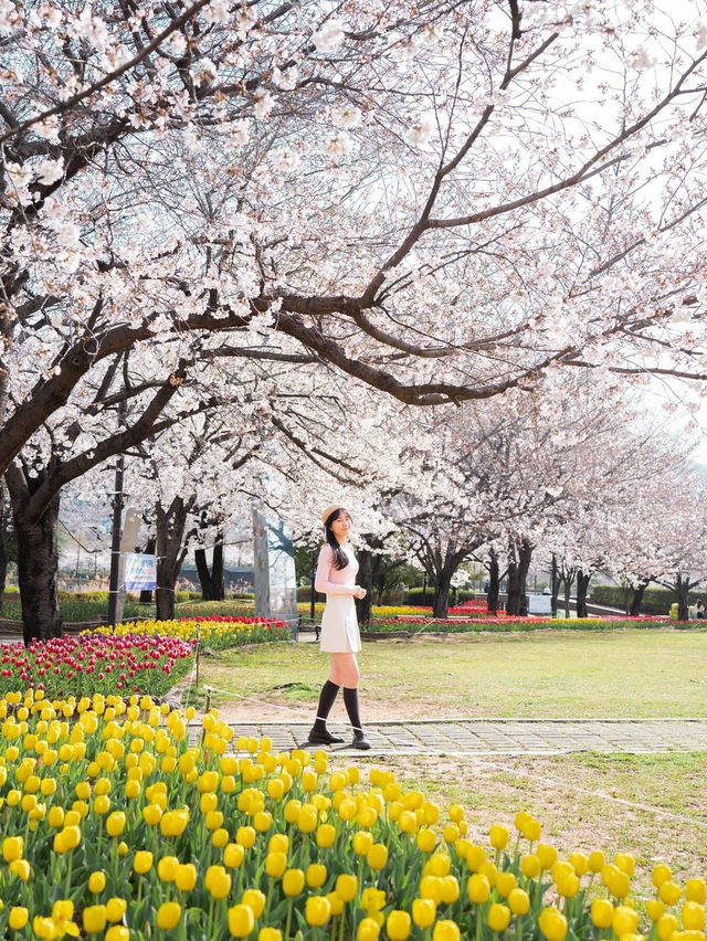 🌸 김해 연지공원 🌺