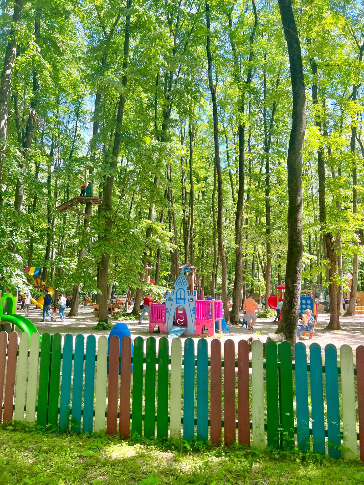 Edenland Park: A Place for Tree Climbing