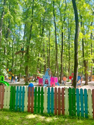 Edenland Park: A Place for Tree Climbing