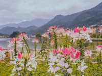 Sapa Lake Vietnam 🇻🇳 