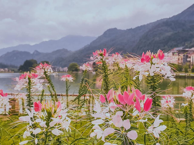 Sapa Lake Vietnam 🇻🇳 