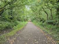 Autumn in Worsley, Manchester