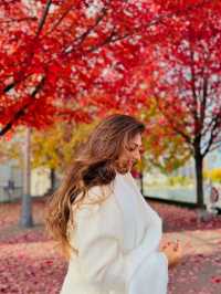 가을 토론토 시내 탐험 🍂
