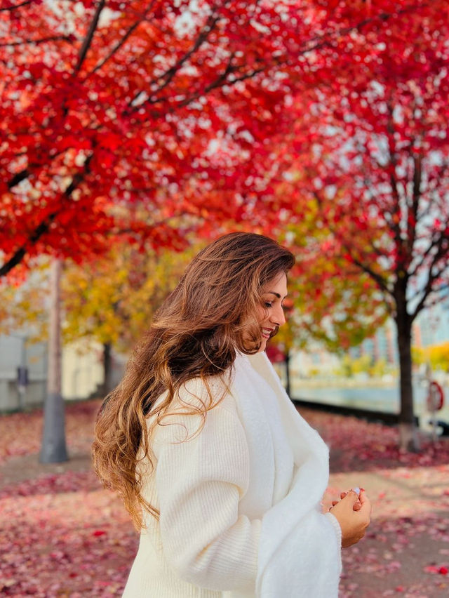 가을 토론토 시내 탐험 🍂