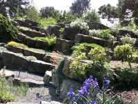 Kew Gardens - Itinerary ✨⭐✨⭐✨