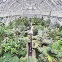 The garden of England 