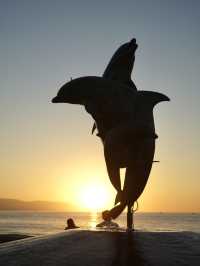 Mexico | Swim with Dolphin and enjoy the sea view