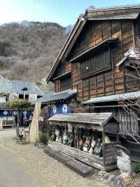 Step Back in Time at Edo Wonderland, Japan